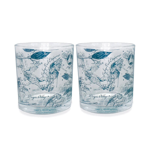 Harry Potter Glasses Set of 2 Boxed (300ml) - Harry Potter (Diagon)