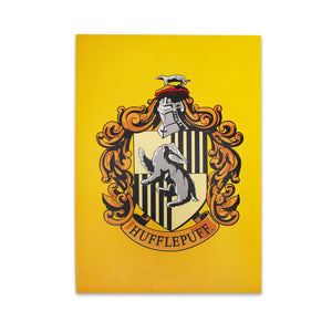 Harry Potter A5 Notebook Soft - Harry Potter (Hufflepuff)